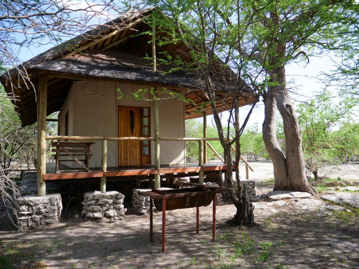 فيلا Ghanziفي Thakadu Bush Camp المظهر الخارجي الصورة