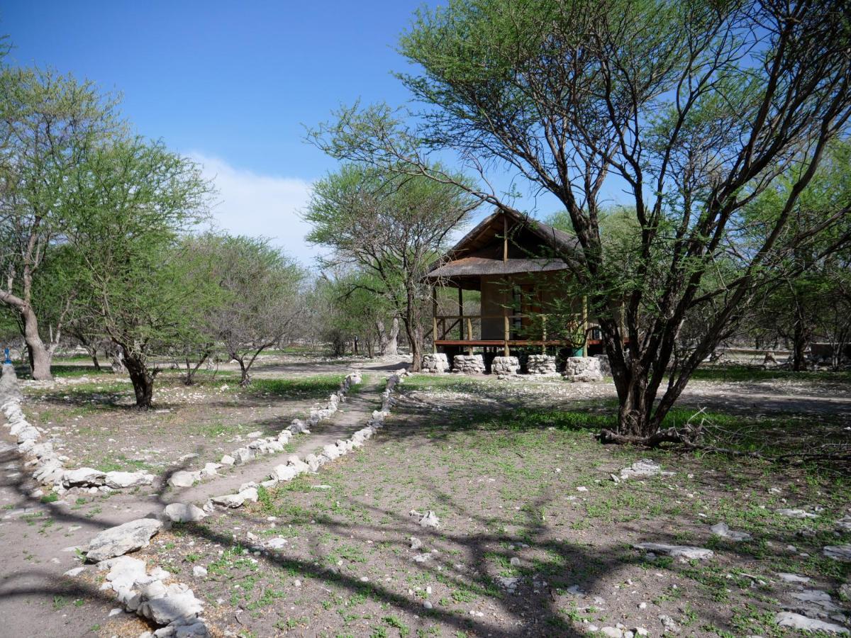 فيلا Ghanziفي Thakadu Bush Camp المظهر الخارجي الصورة